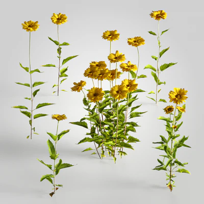 plants and weeds 006 — Скачать
