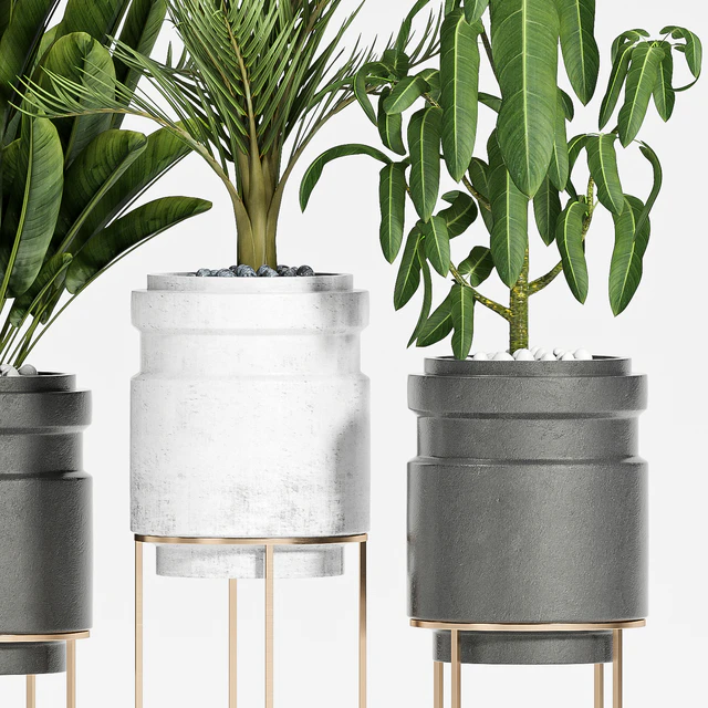 plant set-117 — Descargar