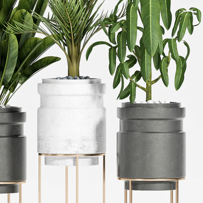plant set-117 — Ver 2