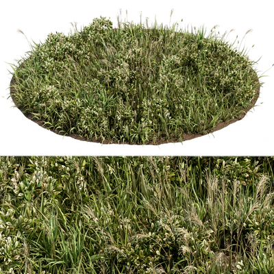 Wild Grass Green - Grass Set 01 — Вид 3