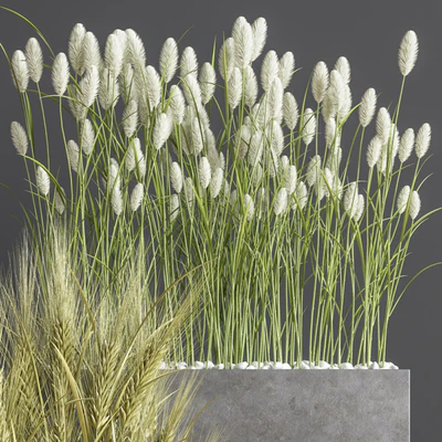 Indoor Plant Set 66 — Вид 4