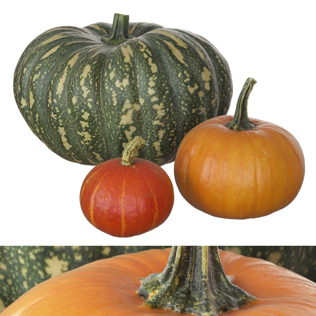 Pumpkins — Descargar