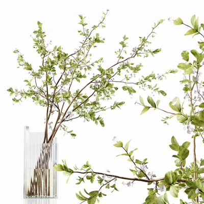 Decorative Set 210 — Ver 4