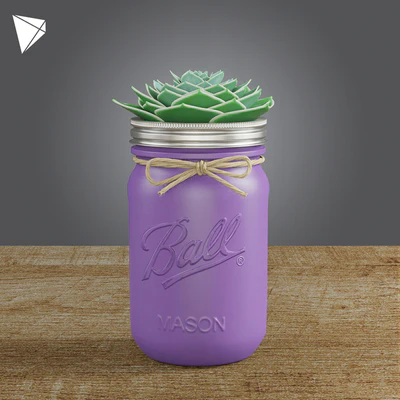 Pot Ball Mason Jar Succulent — Вид 1