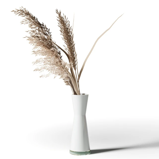 Set of 5 bouquets of dried flowers in glass vases — Descargar