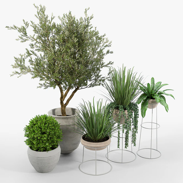 CB2 Set — Скачать