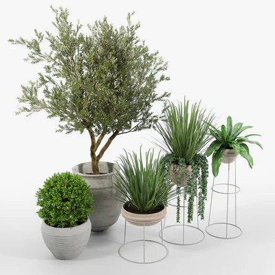 CB2 Set — Вид 3