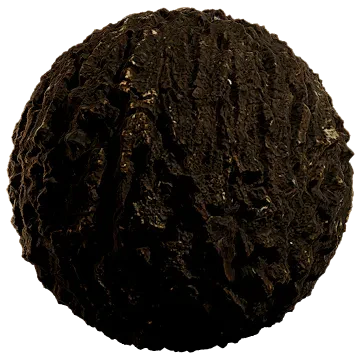 tree bark 012 — Скачать