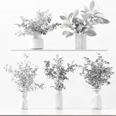 Collection Indoor Plants 034 — Ver 2