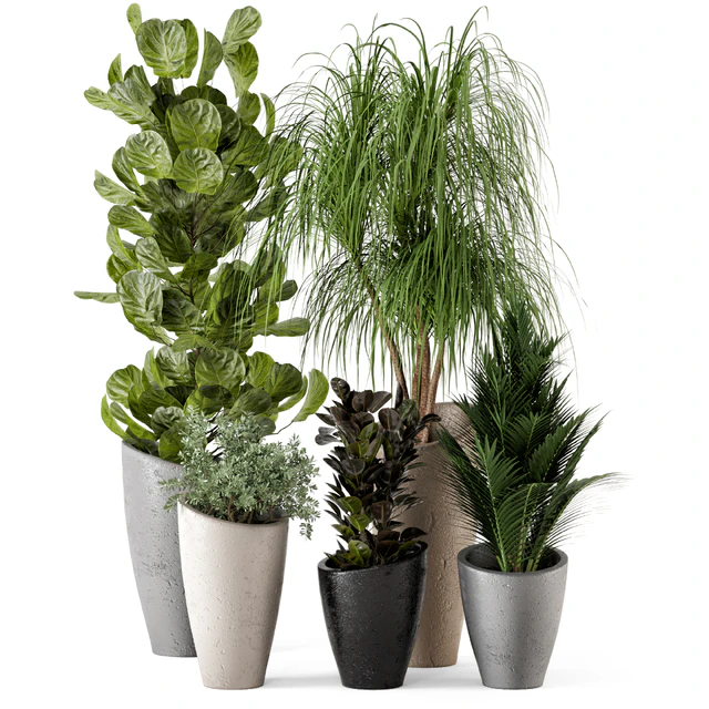 Indoor Plants in rusty Concrete Pot - Set 240 — Descargar