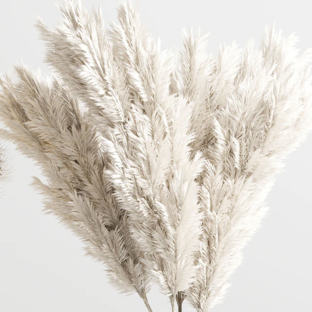 bouquet 13 concrete vse plant pampas and dry hogweed dry leaves — Скачать