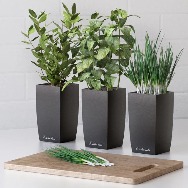 Plants for the kitchen — Descargar