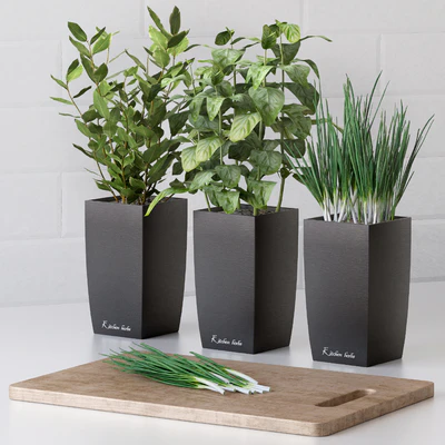 Plants for the kitchen — Ver 1