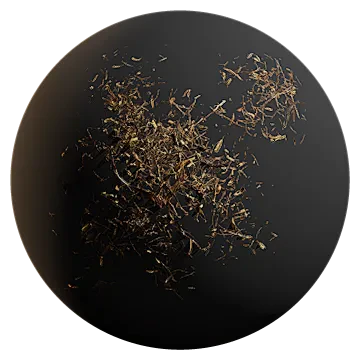 arid debris 024 — Скачать