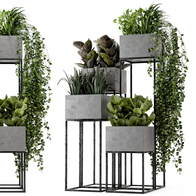 Indoor Plants in rusty Concrete Pot on Metal Shelf - Set 221 — Descargar