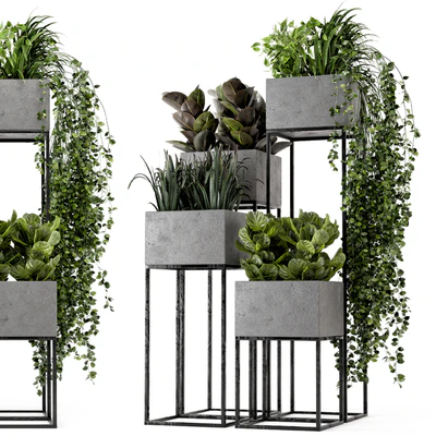 Indoor Plants in rusty Concrete Pot on Metal Shelf - Set 221 — Ver 1