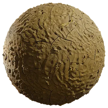soil clay 048 — Descargar