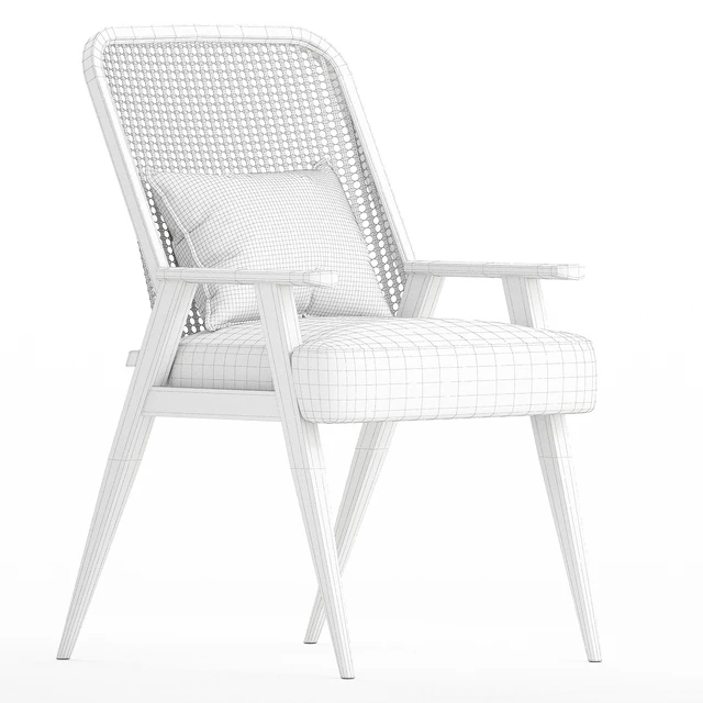 Upholstered Cane Back Armchair — Descargar