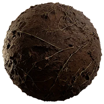scarce grass on damp soil 002 — Скачать