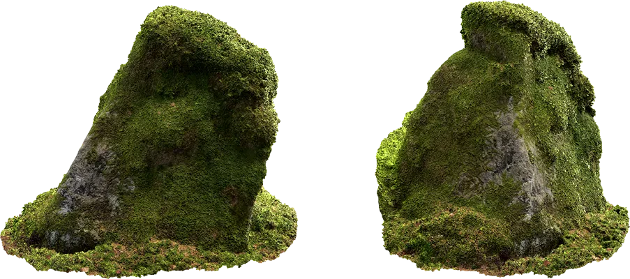 mossy rock 016 — Скачать
