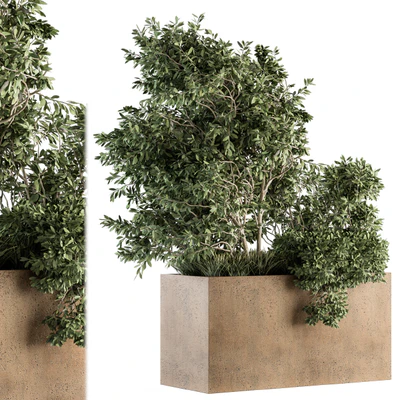 Outdoor Plants Olive - Set 82 — Ver 1