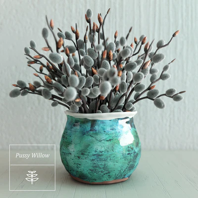 Pussy Willow Bouquet — Descargar