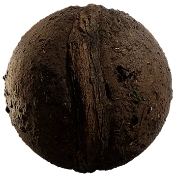 tree root in damp soil 001 — Descargar