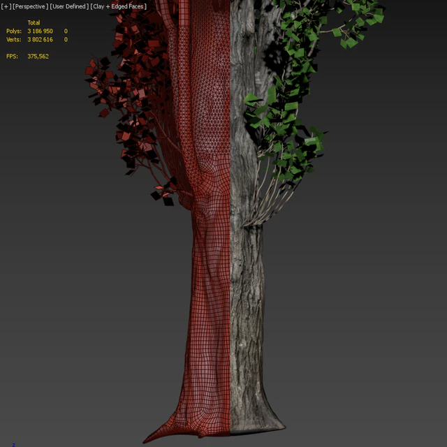 Poplar / Populus #1 — Descargar