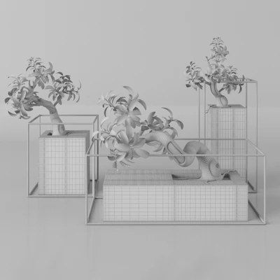 Plants tree 33 bonsai — Ver 2