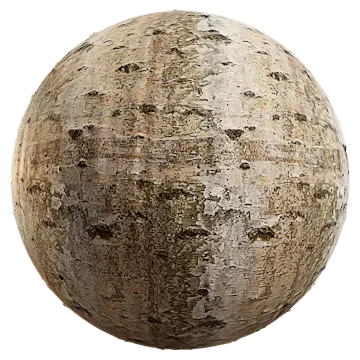 birch bark 005 — Descargar