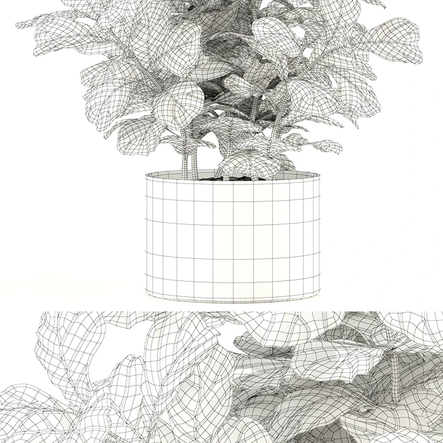 Plants collection 98 — Descargar