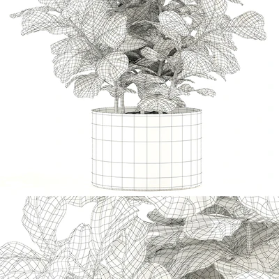 Plants collection 98 — Ver 3