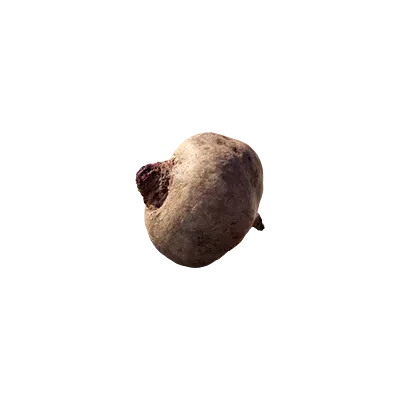 beetroot 001 — Скачать