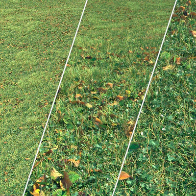 Autumn grass — Ver 1