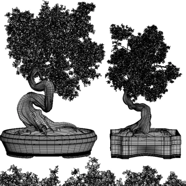 Bonsai Set Vol.01 — Скачать
