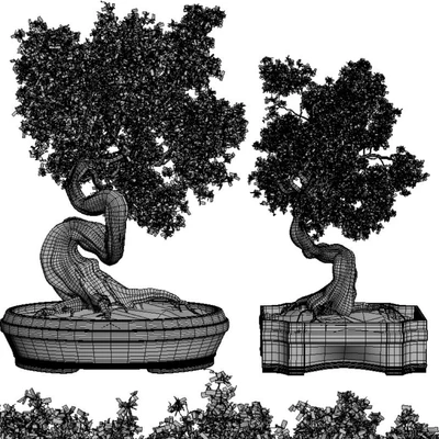 Bonsai Set Vol.01 — Вид 2