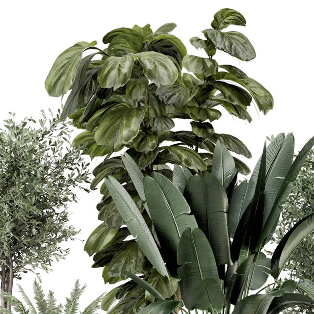Indoor Plants in Ferm Living Bau Pot Large - Set 1277 — Descargar