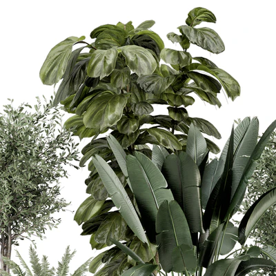Indoor Plants in Ferm Living Bau Pot Large - Set 1277 — Ver 3
