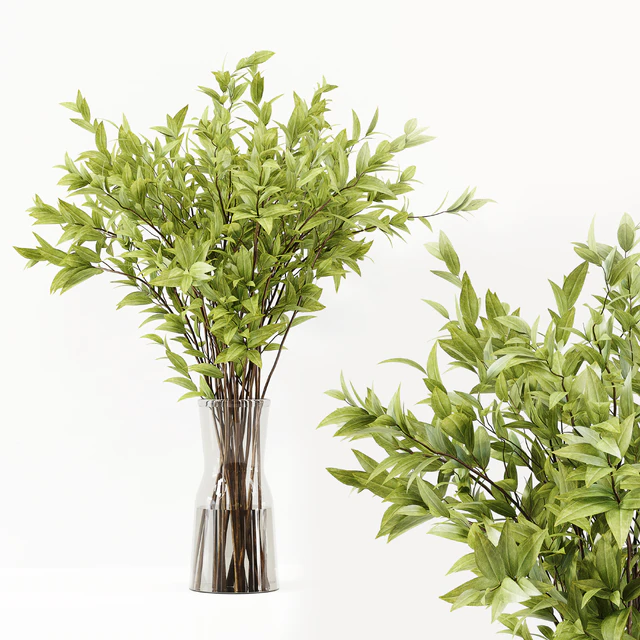 Collaction Indoor Plants 022 — Скачать