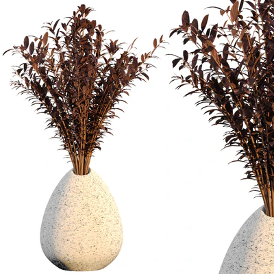 Dry  flower 008 — Вид 1