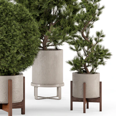 Indoor Plants in Ferm Living Bau Pot Large - Set 364 — Вид 4