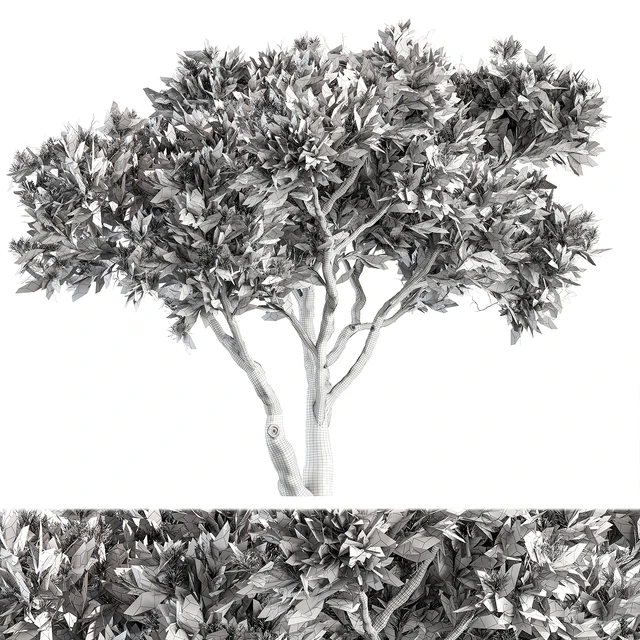Stone Pine Tree Set 190 — Скачать