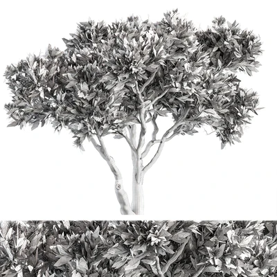 Stone Pine Tree Set 190 — Вид 2