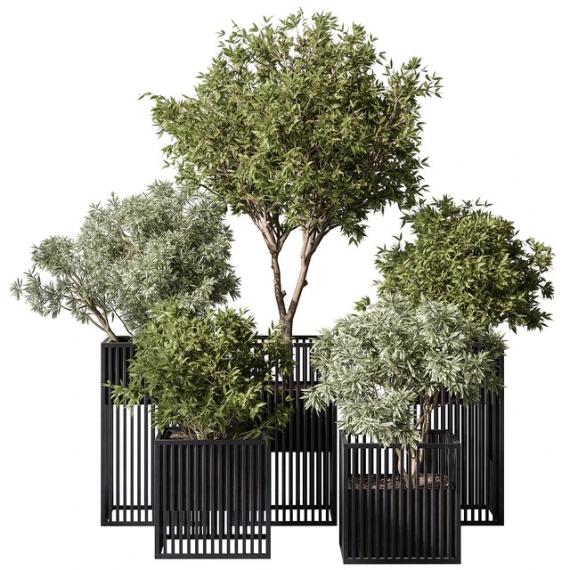 indoor Plant Set 380- Tree and Plant Set in pot — Descargar