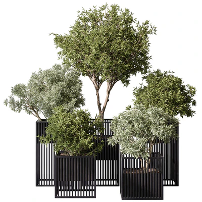 indoor Plant Set 380- Tree and Plant Set in pot — Ver 1