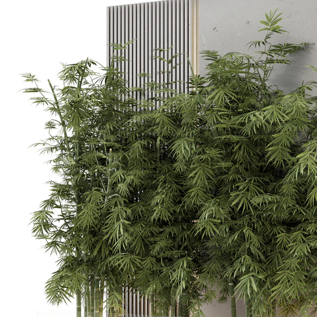 Indoor Wall  Bamboo Garden in Concrete Base - Set 1529 — Скачать