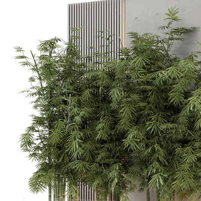 Indoor Wall  Bamboo Garden in Concrete Base - Set 1529 — Вид 2