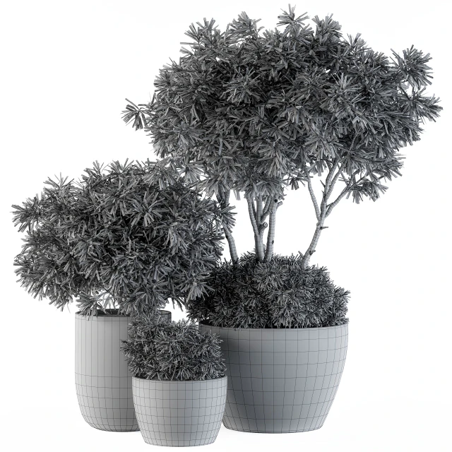 Outdoor Plants tree in Concrete Pot - Set 111 — Descargar