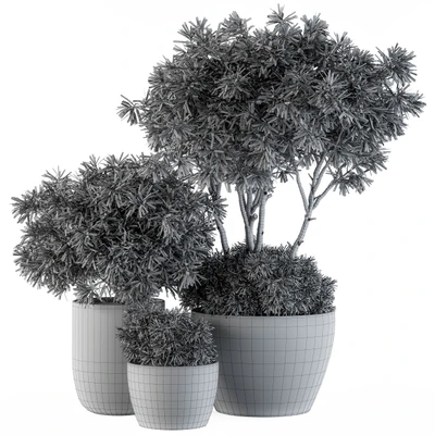 Outdoor Plants tree in Concrete Pot - Set 111 — Ver 4