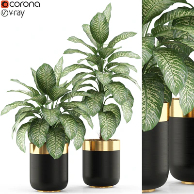 Plants collection 491 — Ver 1